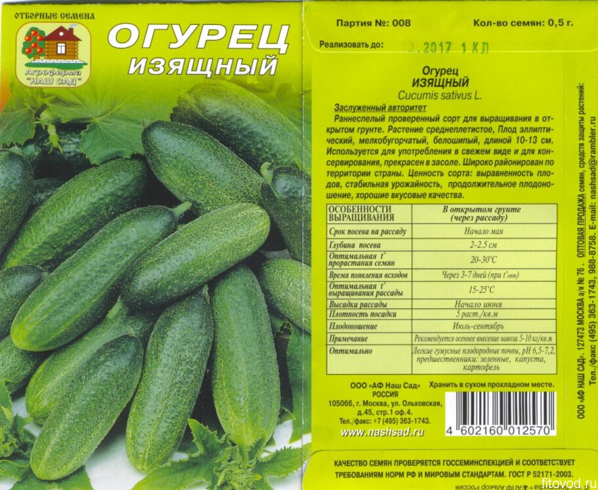 Почему Огурец Изящный - Новая Звезда Садоводства Огурец Изящный